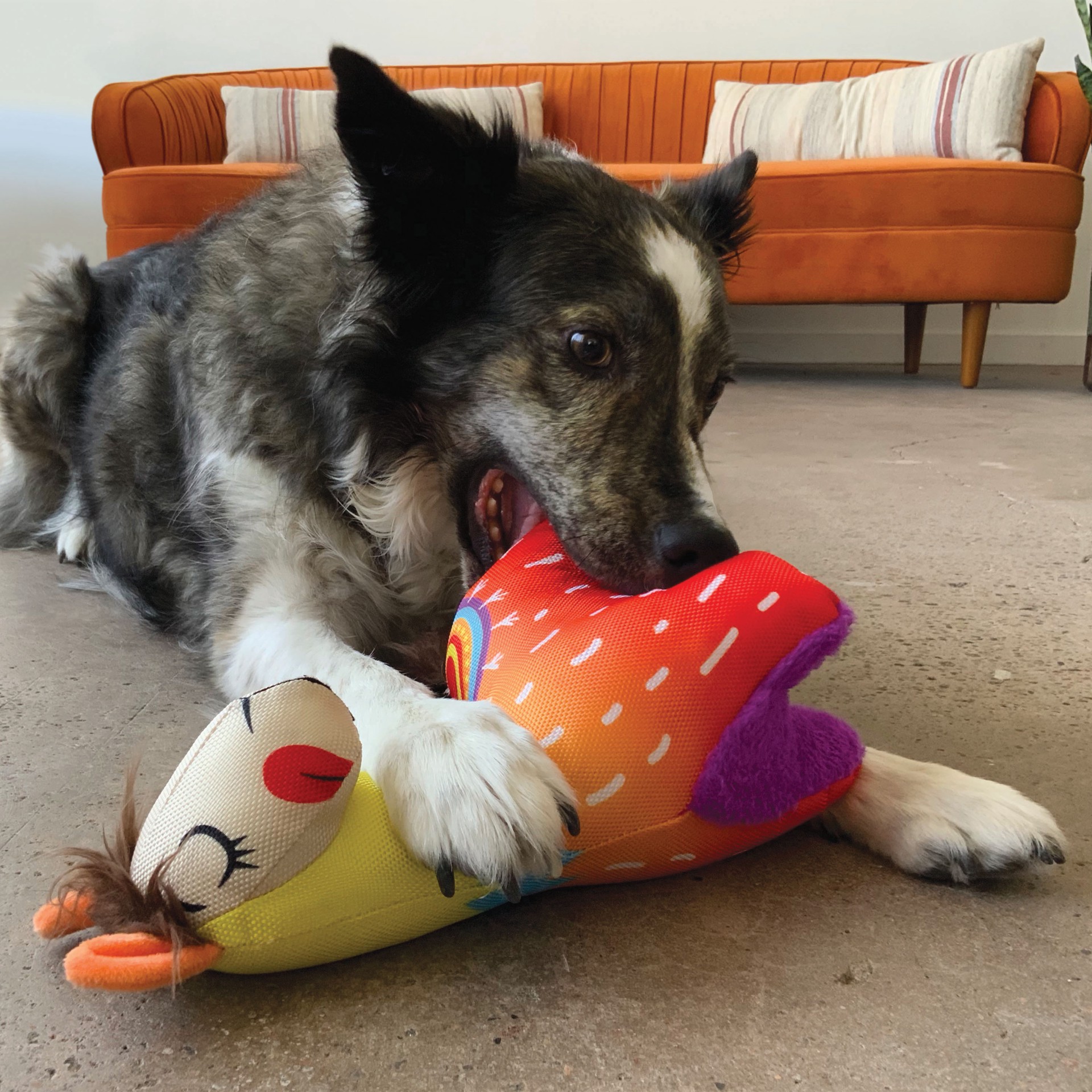 slide 3 of 4, Kong Llama, 1 ct