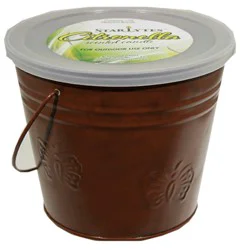 Citron Butterfly Copper Bucket