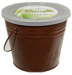 Citron Butterfly Copper Bucket
