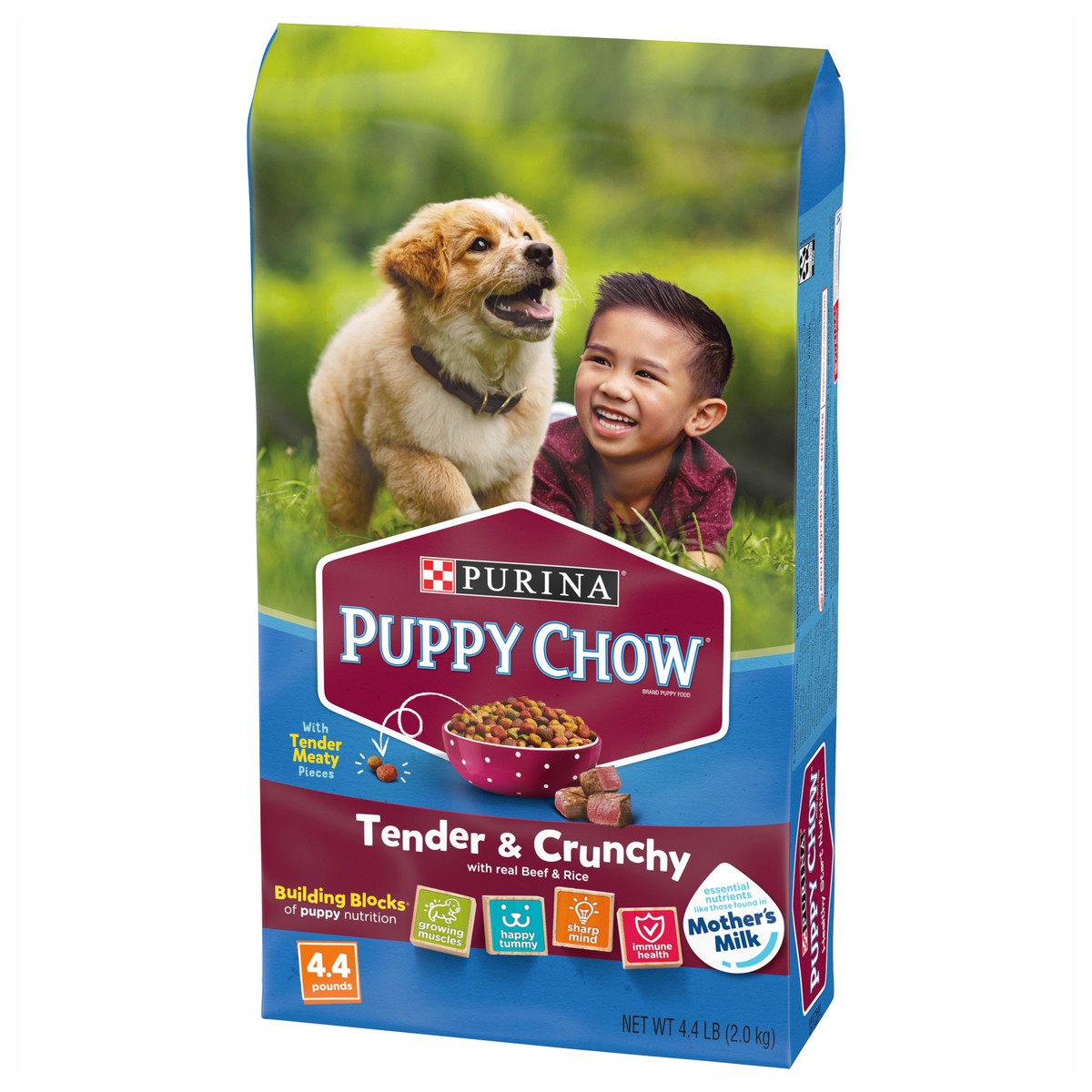 slide 3 of 9, Puppy Chow Purina Puppy Chow High Protein Dry Puppy Food, Tender & Crunchy With Real Beef, 4.4 lb