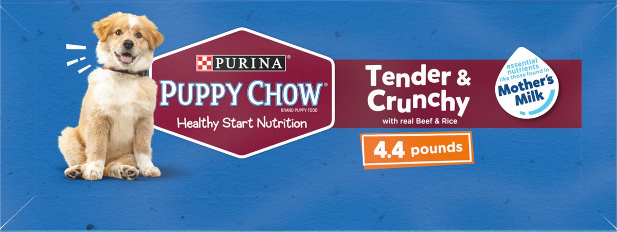 slide 6 of 9, Puppy Chow Purina Puppy Chow High Protein Dry Puppy Food, Tender & Crunchy With Real Beef, 4.4 lb