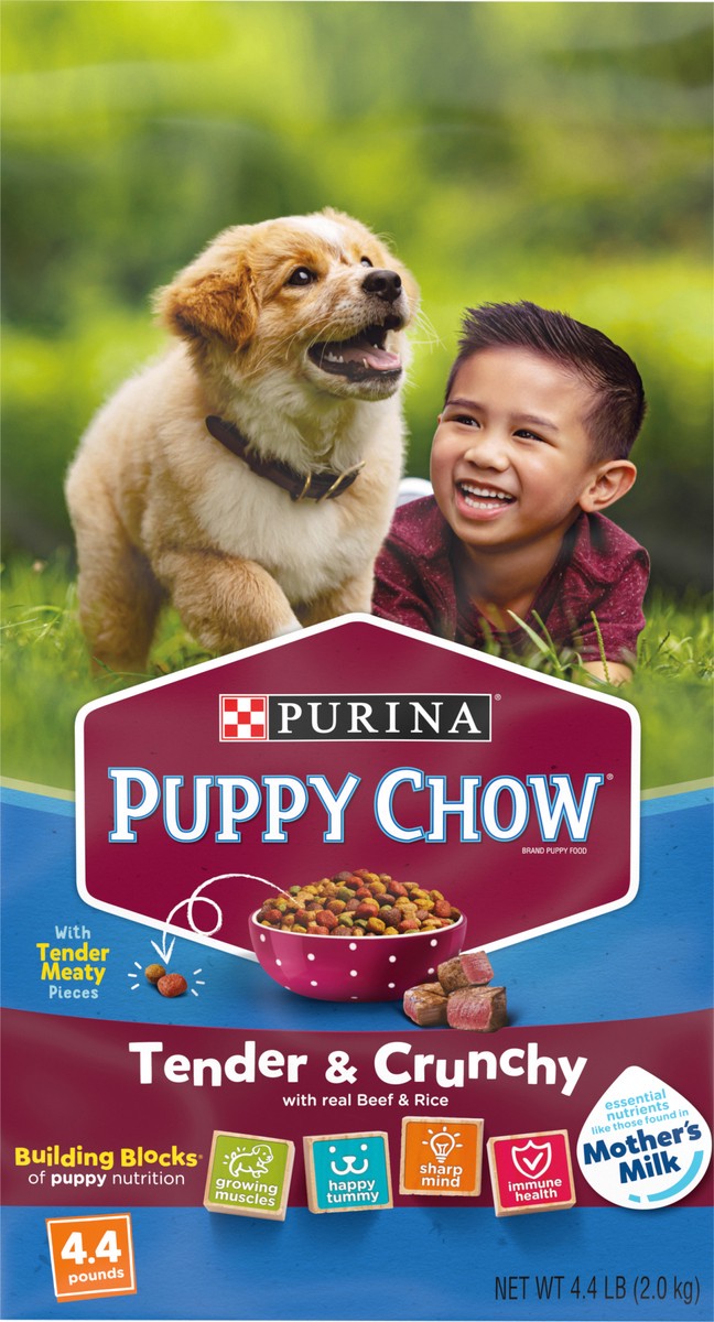 slide 5 of 9, Puppy Chow Purina Puppy Chow High Protein Dry Puppy Food, Tender & Crunchy With Real Beef, 4.4 lb