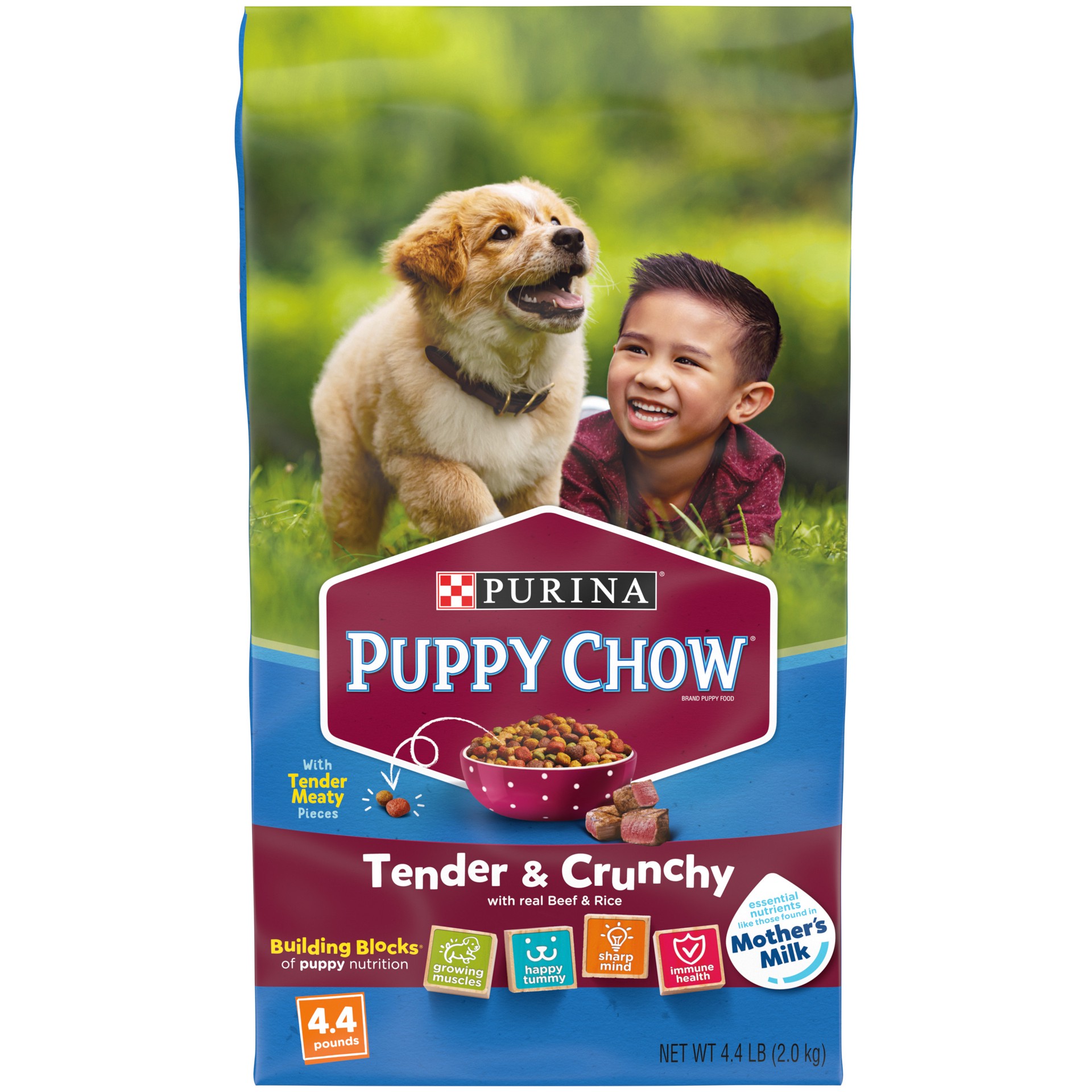 slide 1 of 9, Puppy Chow Purina Puppy Chow High Protein Dry Puppy Food, Tender & Crunchy With Real Beef, 4.4 lb