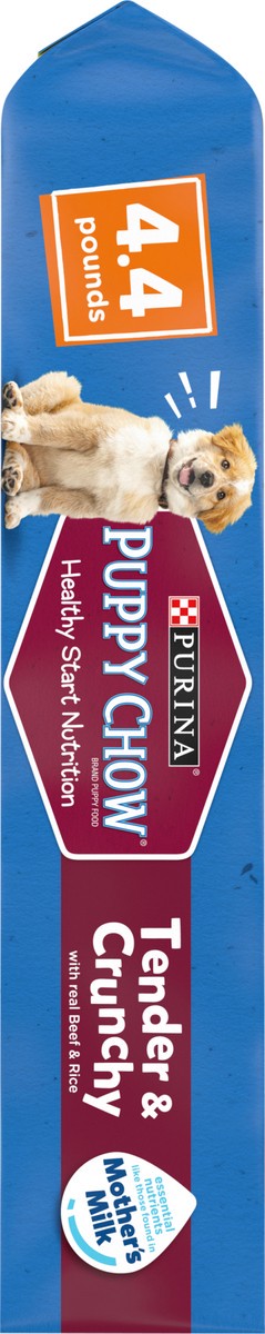 slide 2 of 9, Puppy Chow Purina Puppy Chow High Protein Dry Puppy Food, Tender & Crunchy With Real Beef, 4.4 lb