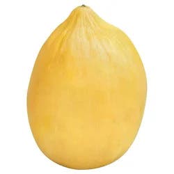Produce Melon 1 ea