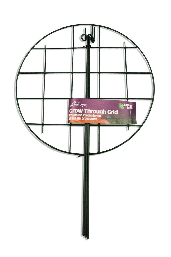 slide 1 of 1, Lusterleaf Grow Thru Grid, 16 in x 24 in