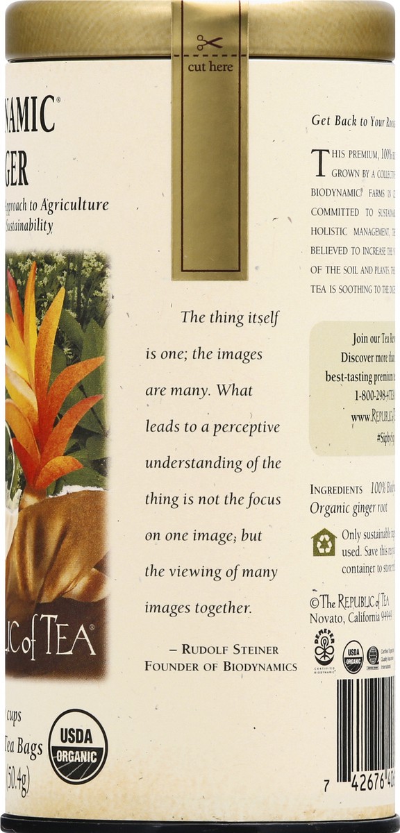 slide 4 of 12, The Republic of Tea Bags Biodynamic Ginger Tea 36 ea, 36 ct