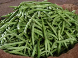 Organic Green Beans