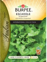 Burpee Sugarloaf Escarole Seeds