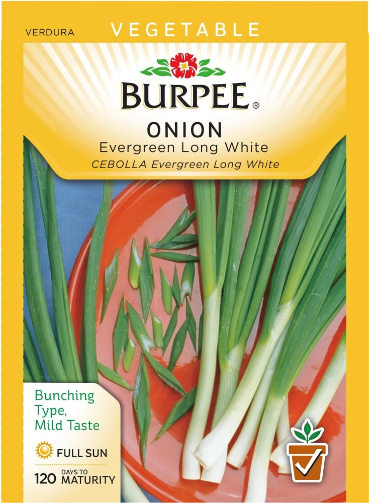 slide 1 of 1, Burpee Bunching Onion Seeds, Evergreen Long White, 1 ct