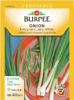Burpee Bunching Onion Seeds, Evergreen Long White