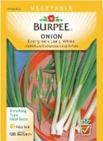 Burpee Bunching Onion Seeds, Evergreen Long White