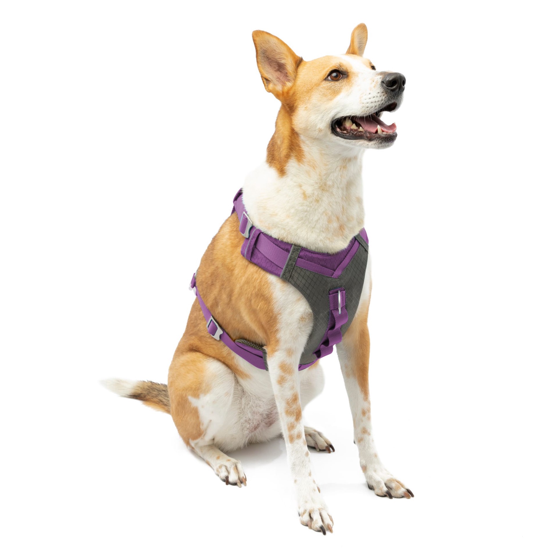 slide 1 of 1, Kurgo Purple Journey Air Vest Dog Harness, Large, 1 ct