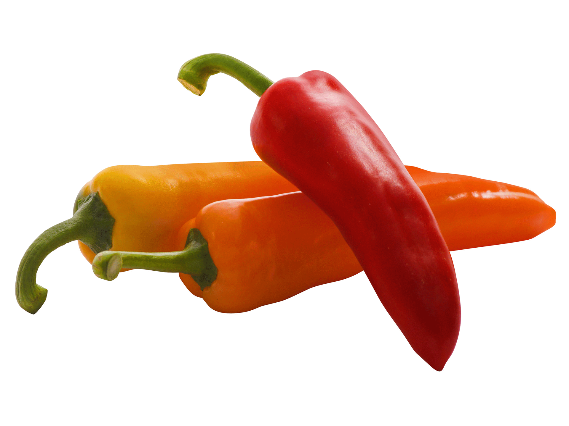 slide 1 of 1, Mini Sweet Peppers Vctry Grden, 16 oz