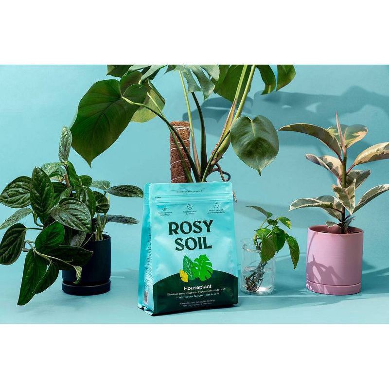slide 10 of 11, Rosy Soil Indoor Potting Soil Mix, 4 qt