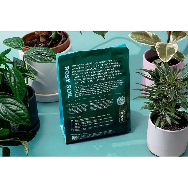 slide 7 of 11, Rosy Soil Indoor Potting Soil Mix, 4 qt