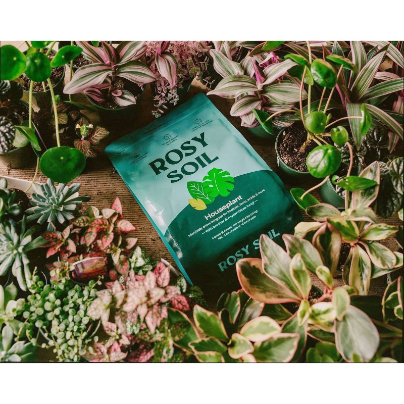 slide 9 of 11, Rosy Soil Indoor Potting Soil Mix, 4 qt