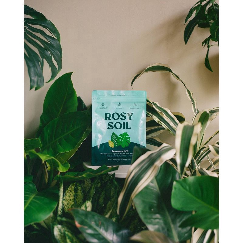 slide 6 of 11, Rosy Soil Indoor Potting Soil Mix, 4 qt