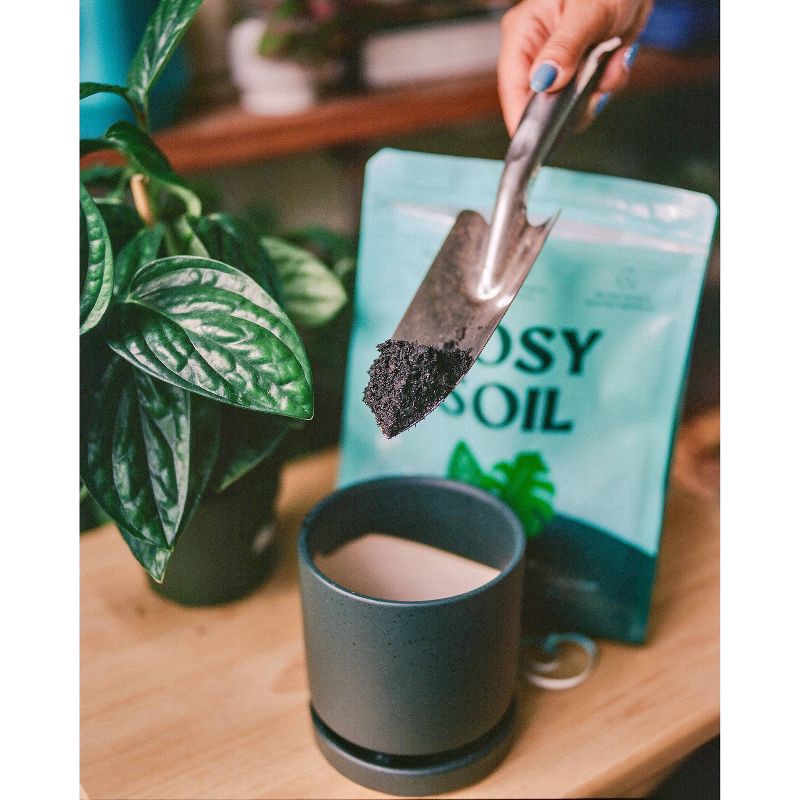 slide 8 of 11, Rosy Soil Indoor Potting Soil Mix, 4 qt