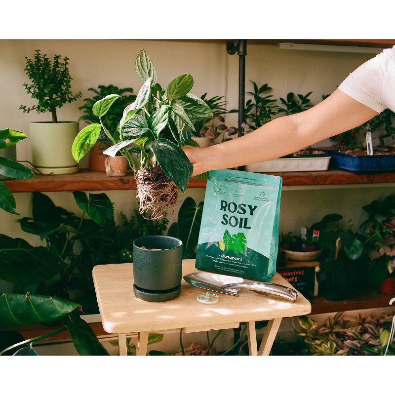 slide 3 of 11, Rosy Soil Indoor Potting Soil Mix, 4 qt
