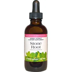 Eclectic Institute Stone Root