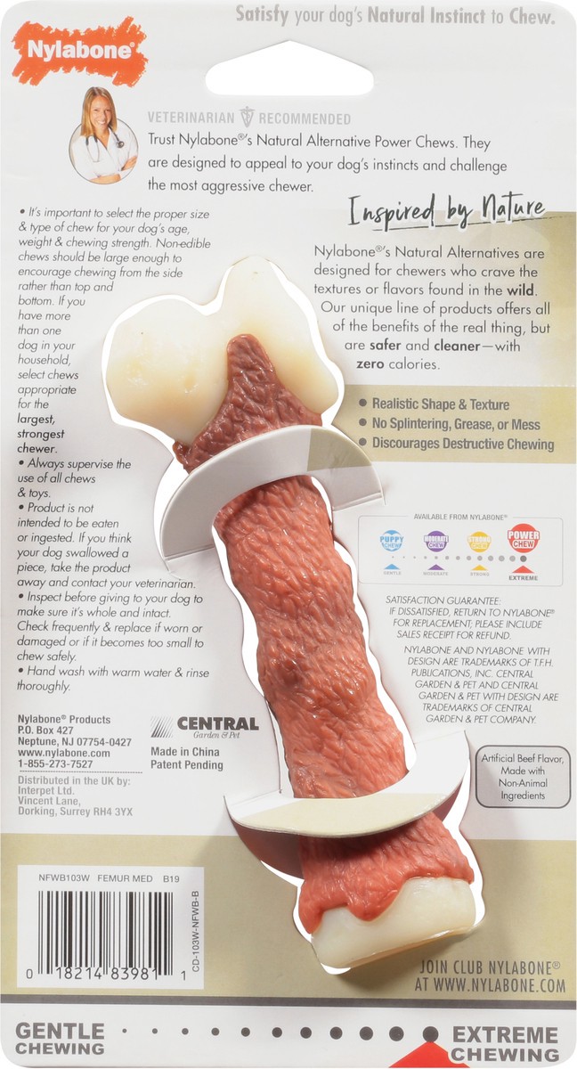 slide 6 of 9, Nylabone Power Chew Femur Alternative, MED