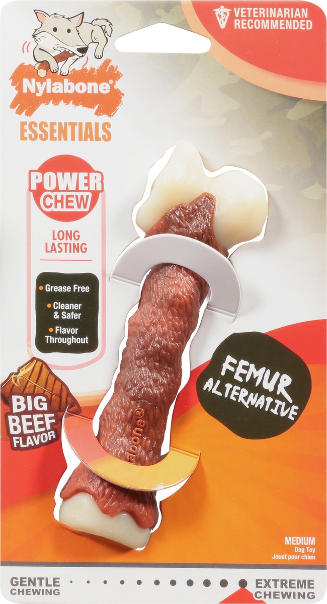 slide 3 of 9, Nylabone Power Chew Femur Alternative, MED