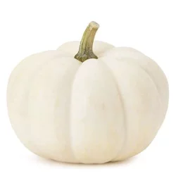White Miniature Pumpkins