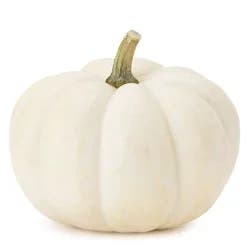 White Miniature Pumpkins