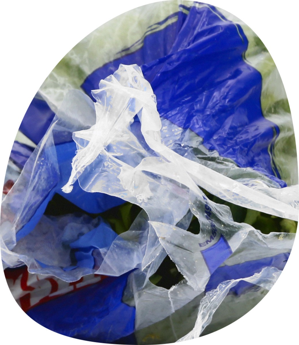 slide 4 of 13, Dole Field Packed Celery 1 ea, 1 ct