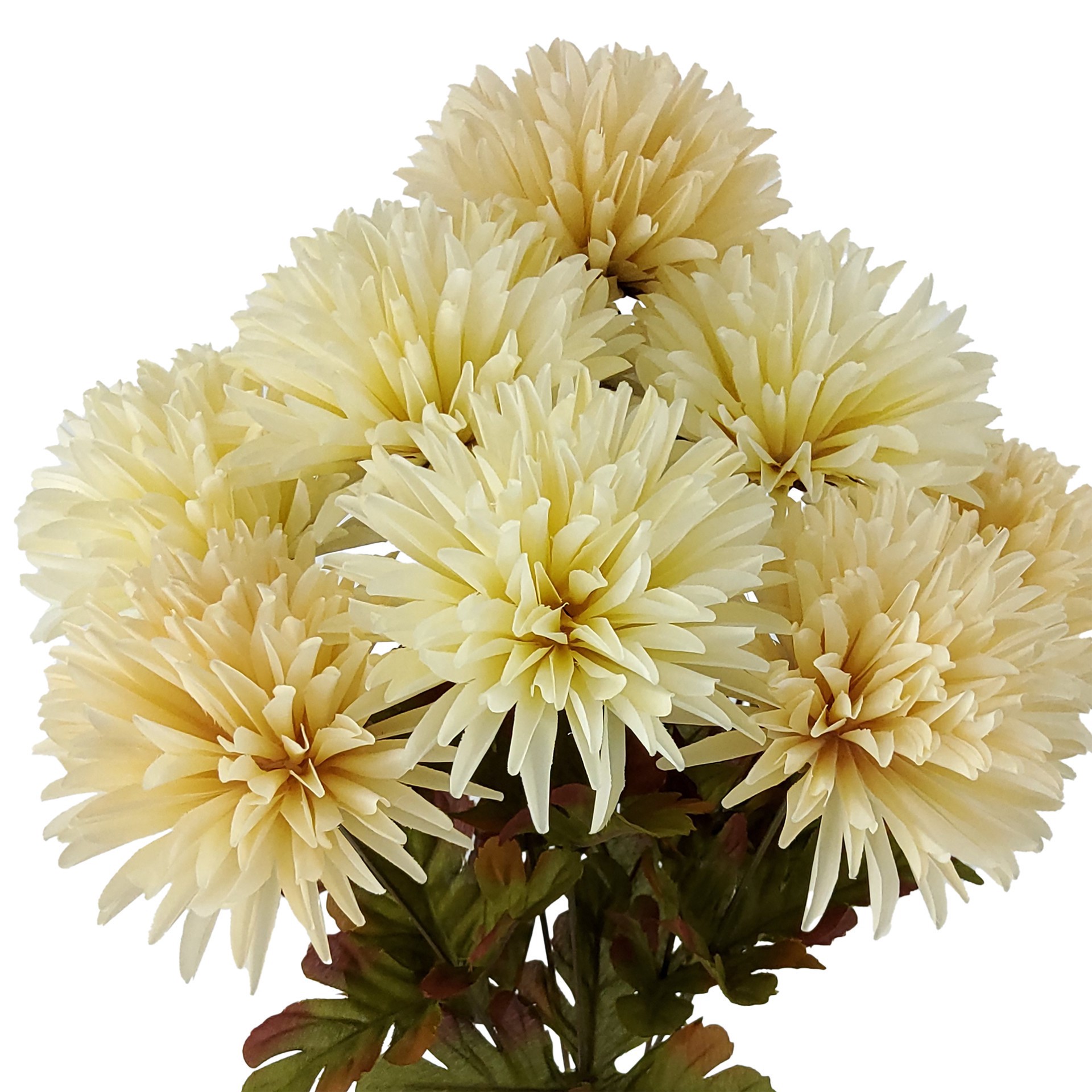 slide 3 of 3, 19.5" Cream Spider Mum Bush By Ashland, 5 in x 9 in x 6 in