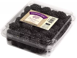 Naturipe Blackberries 6 oz