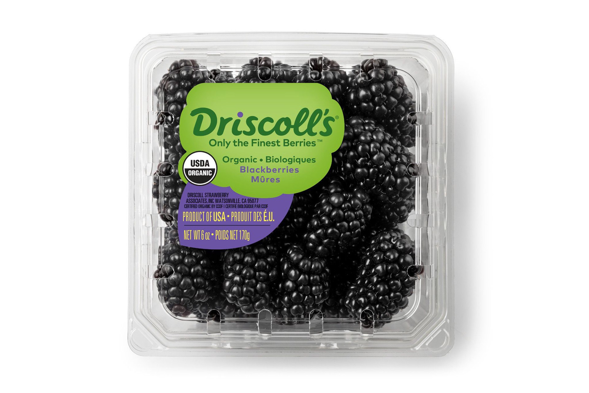 slide 1 of 15, Driscoll's Organic Blackberries, 6 oz
