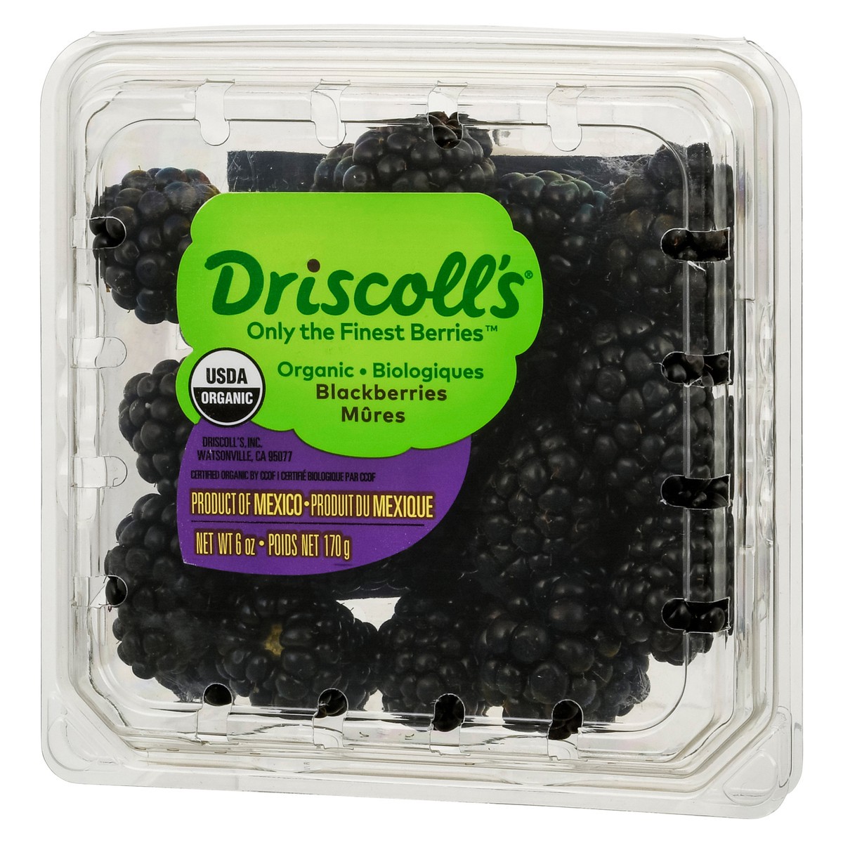 slide 6 of 15, Driscoll's Organic Blackberries, 6 oz