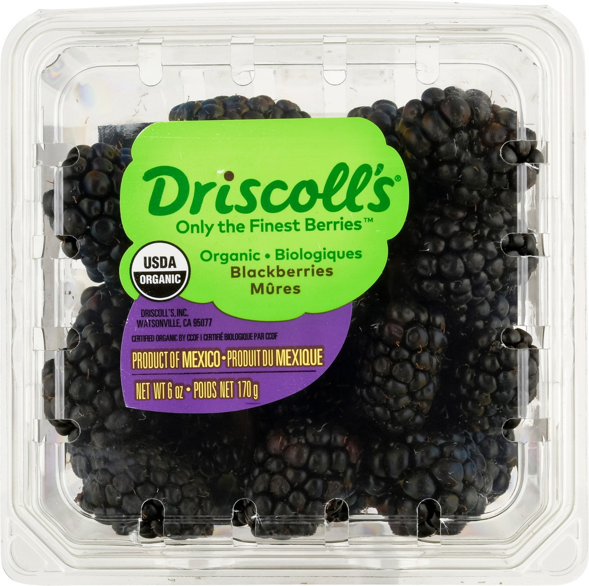 slide 7 of 15, Driscoll's Organic Blackberries, 6 oz