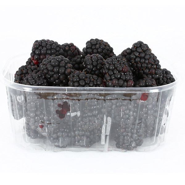 slide 1 of 15, Driscoll's Organic Blackberries, 6 oz