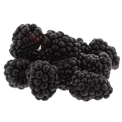 Driscoll's Organic Blackberries Package