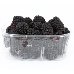 Driscoll&#x27;s Organic Blackberries