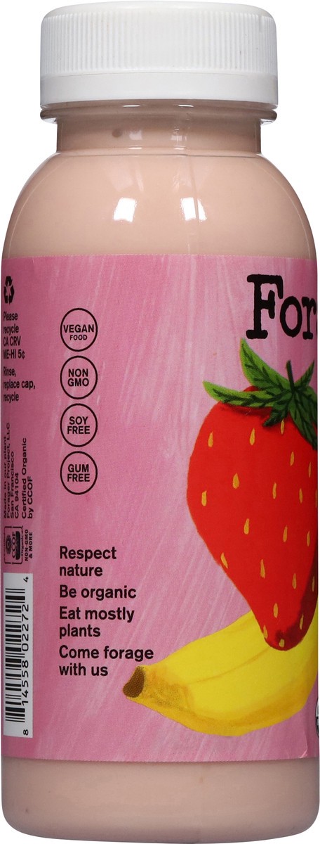slide 6 of 12, Forager Project Probiotic Organic Dairy-Free Strawberry Banana Cashewmilk Yogurt 8 fl oz, 8 fl oz
