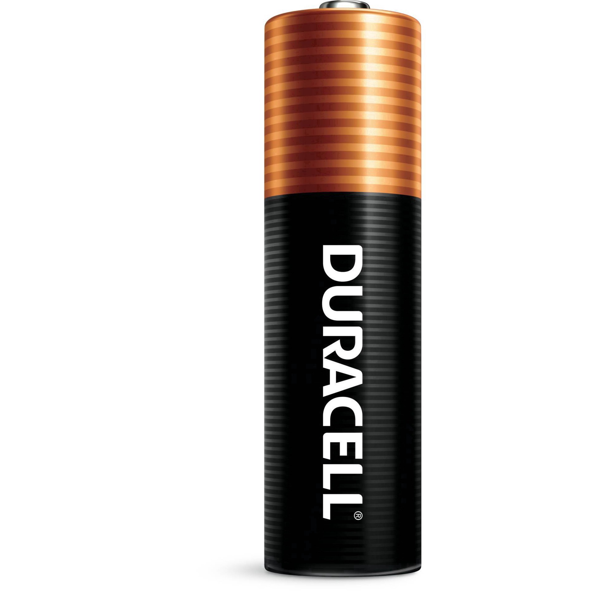 slide 12 of 27, Duracell Coppertop AA Alkaline Batteries, 20/Pack, 20 ct
