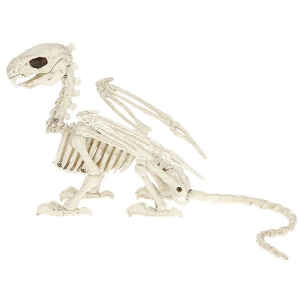 slide 1 of 1, Griffin Skeleton, Small, 4.75 in