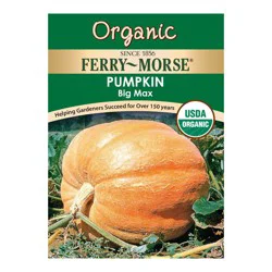 Pumpkin - Big Max Organic