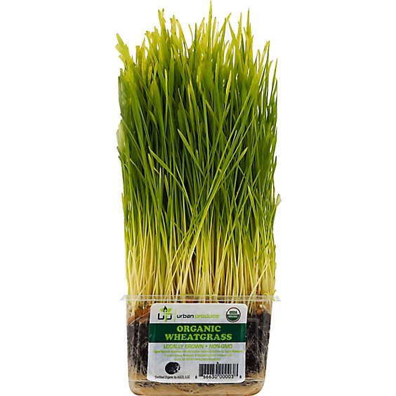 slide 1 of 1, Wheat Grass Organic - Each, 1 ct