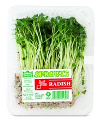 Honolulu Poi Radish Sprouts Prepacked - 4 Oz