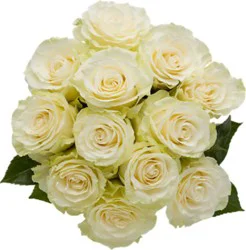 Overjoyed Boutique Rose Premium White - 12 Stem