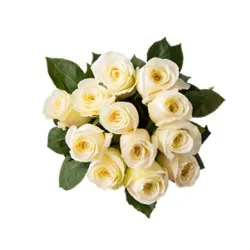 Overjoyed Boutique Rose Premium White - 12 Stem