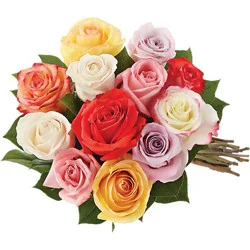 Overjoyed Boutique Rose Rainbow Guar - 12 Stem