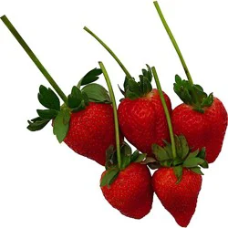 Strawberries Long Stem Prepacked - 1 Lb