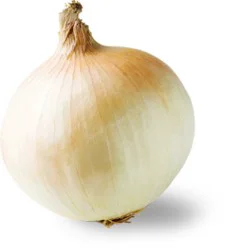Organic Sweet Onion