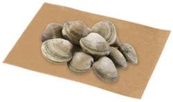 Service Case Farmed Steamer Clams - 1.75 Lb
